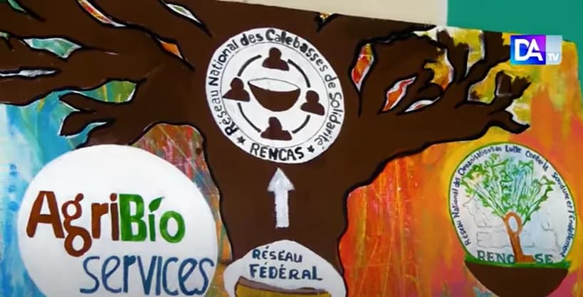 rencas